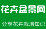 花卉盆景网