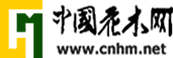 中国花木网