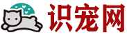 识宠网