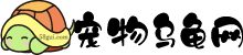 宠物乌龟网