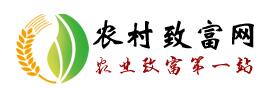 农村致富网