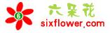 六朵花鲜花网