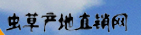 虫草产地直销网
